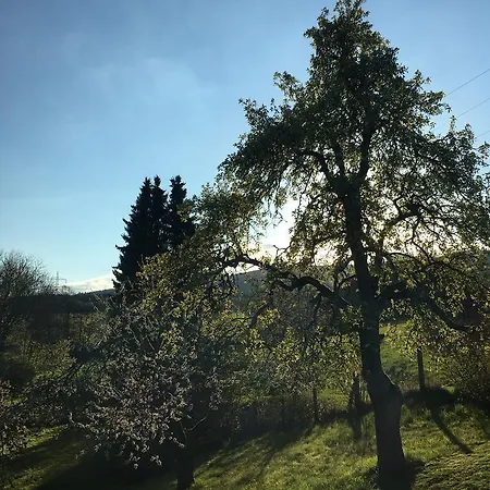 Sommer דירה Germerode