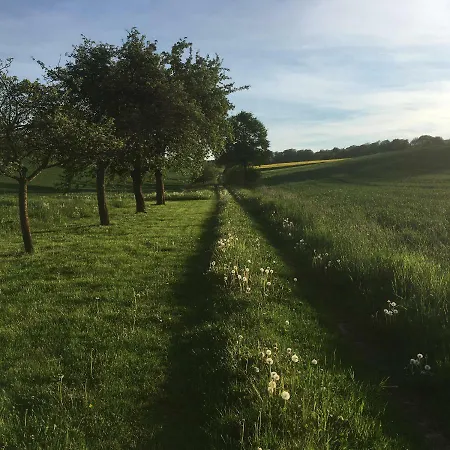 Sommer